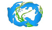 Pediatric Dental Associates LLC