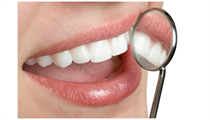 Zahner Dental