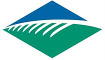 Island Dental Group