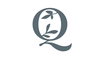 Quinn Dental