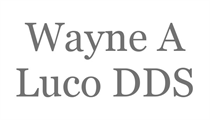 WAYNE A LUCO DDS