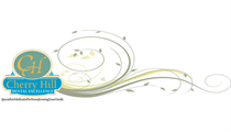 Cherry Hill Dental Excellence