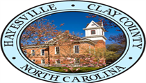 CLAY COUNTY DENTAL PROGRAM